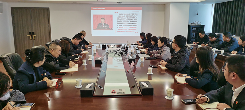 集團黨委委員、副總經(jīng)理賀維維同志講授專題黨課